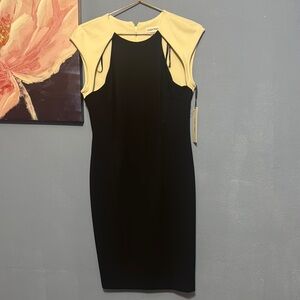 Calvin Klein Black and Cream Sleeveless Sheath Dress